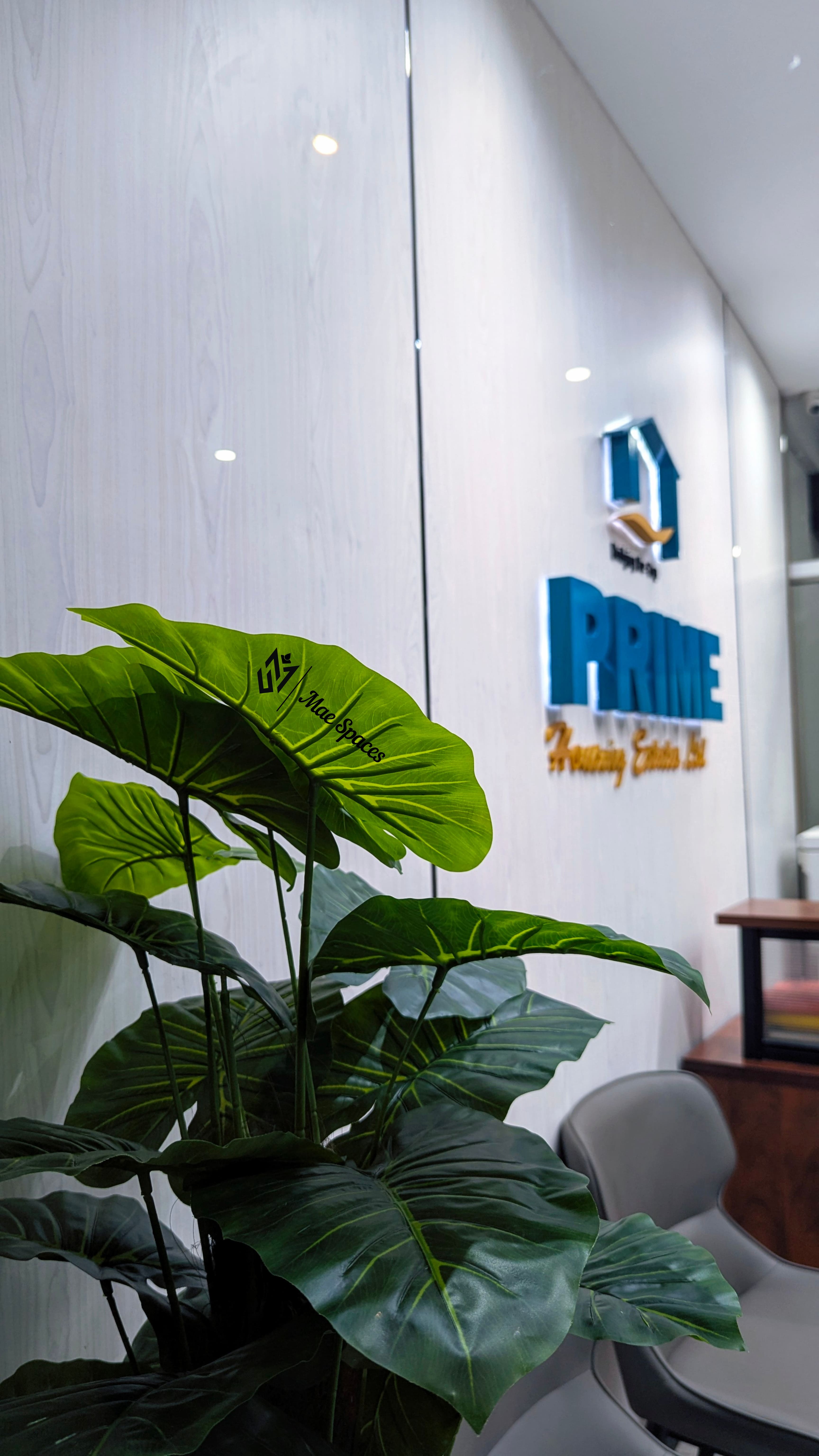 Prime Housing Estates 6