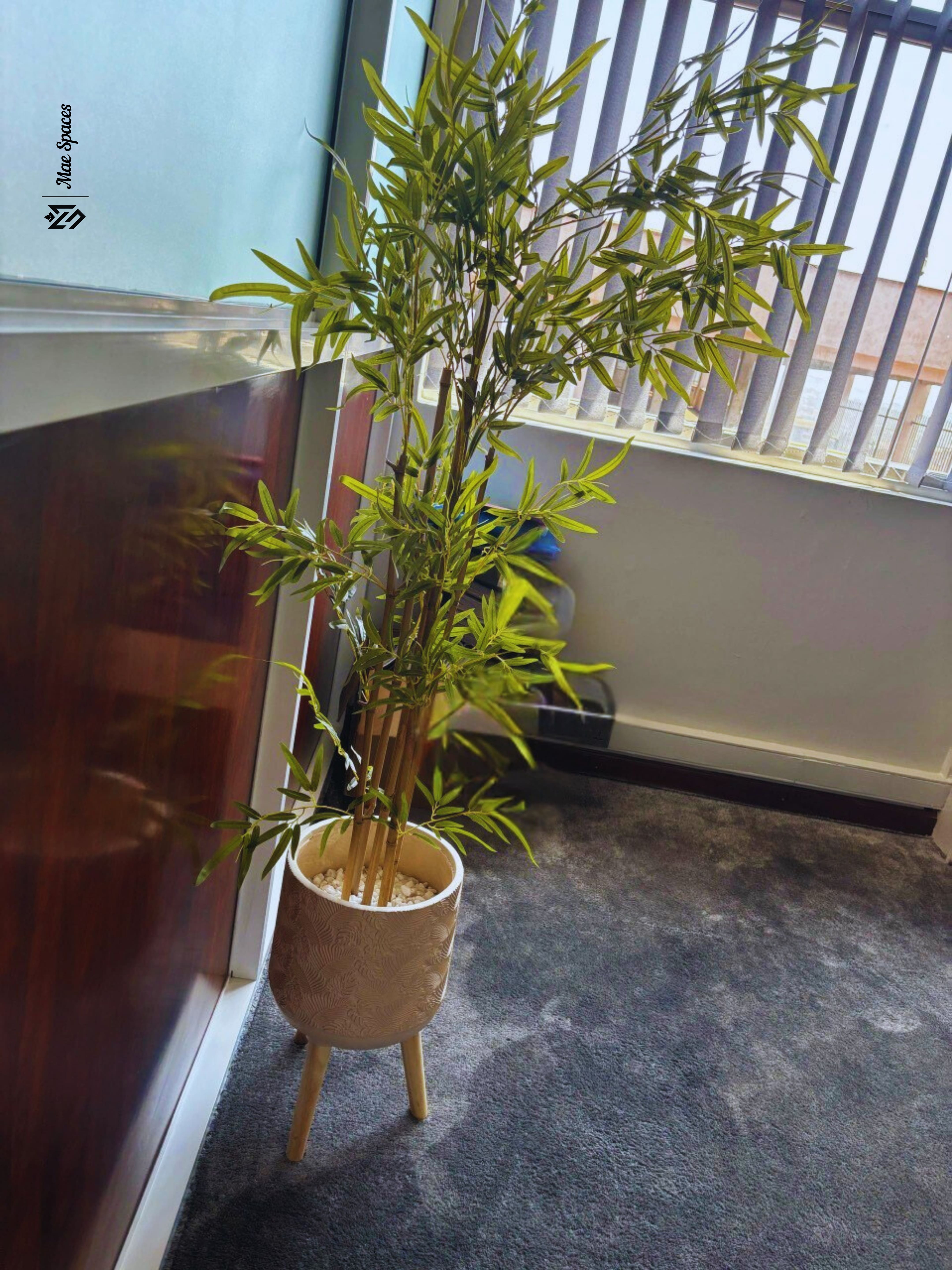 Ruta Prime Holdings 5