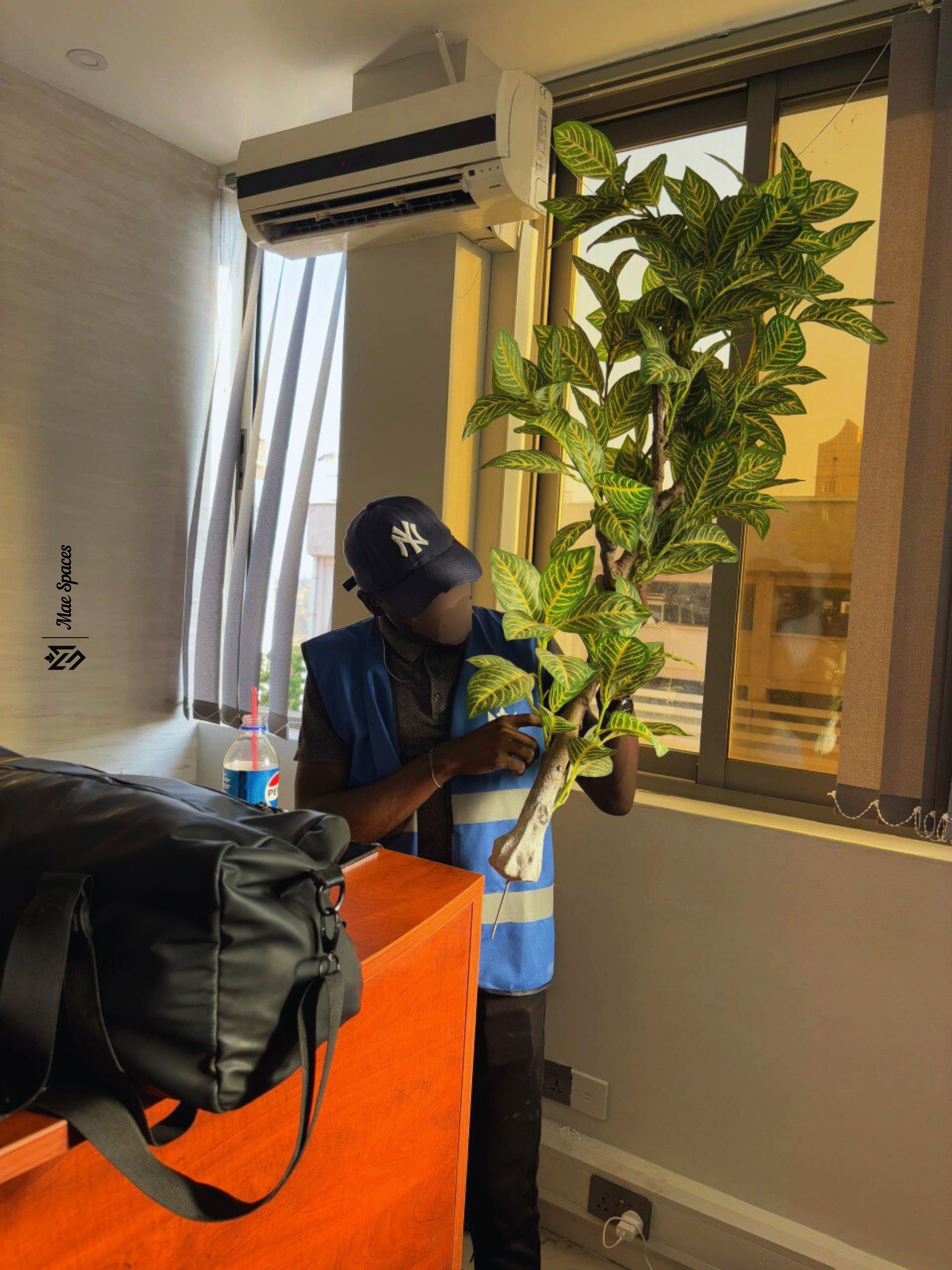 Ruta Prime Holdings 6